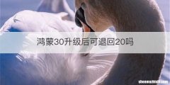 鸿蒙30升级后可退回20吗