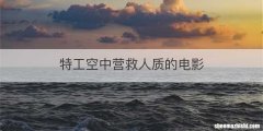 特工空中营救人质的电影