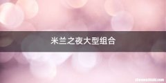 米兰之夜大型组合