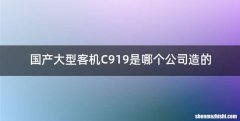 国产大型客机C919是哪个公司造的