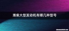 潍柴大型发动机有哪几种型号