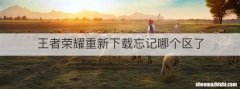 王者荣耀重新下载忘记哪个区了