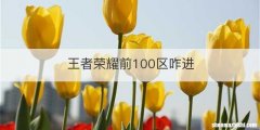 王者荣耀前100区咋进