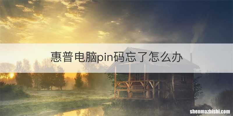惠普电脑pin码忘了怎么办