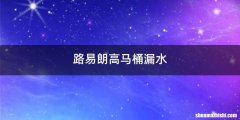 路易朗高马桶漏水