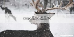 csgo是2d还是3d