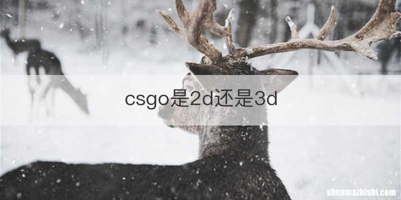 csgo是2d还是3d