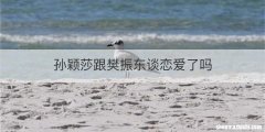 孙颖莎跟樊振东谈恋爱了吗