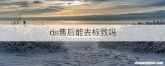 ds售后能去标致吗