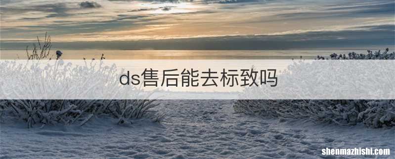 ds售后能去标致吗