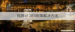 标致c1383故障解决方法