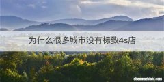 为什么很多城市没有标致4s店