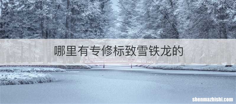 哪里有专修标致雪铁龙的