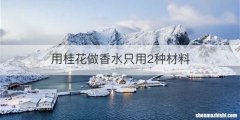 用桂花做香水只用2种材料