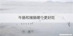 牛肠和猪肠哪个更好吃