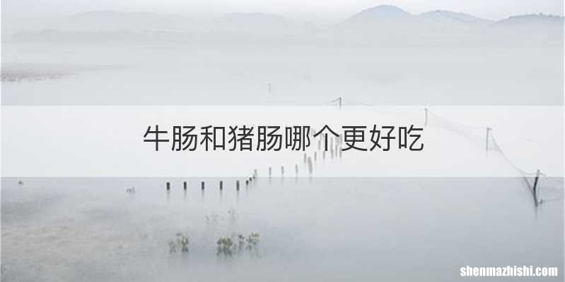 牛肠和猪肠哪个更好吃