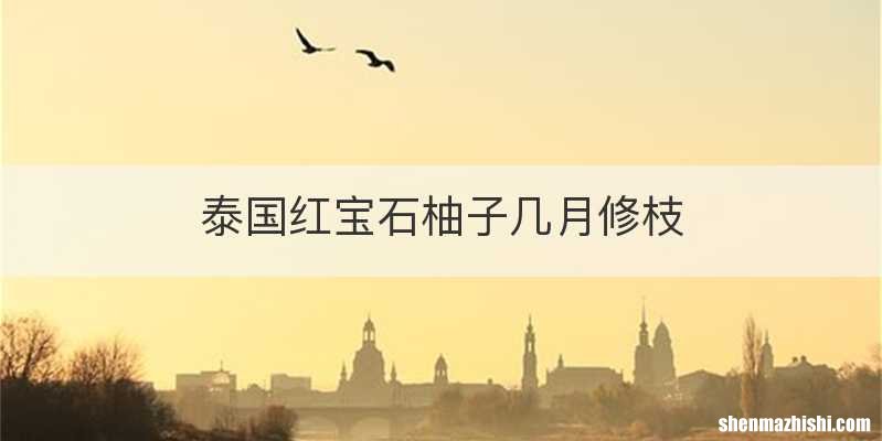 泰国红宝石柚子几月修枝