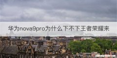 华为nova9pro为什么下不下王者荣耀来