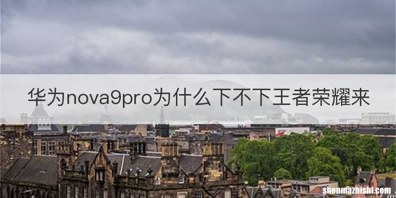 华为nova9pro为什么下不下王者荣耀来
