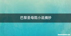 巴黎圣母院小说摘抄