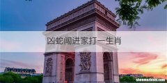 凶蛇闯进家打一生肖