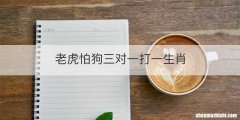 老虎怕狗三对一打一生肖