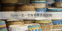 元pro一生一世版和尊贵版区别