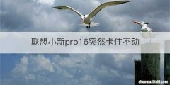 联想小新pro16突然卡住不动