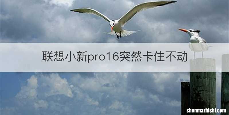 联想小新pro16突然卡住不动