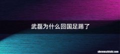 武磊为什么回国足踢了