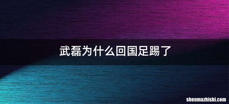 武磊为什么回国足踢了