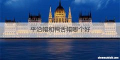 平沿帽和鸭舌帽哪个好