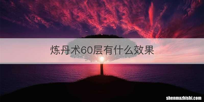 炼丹术60层有什么效果