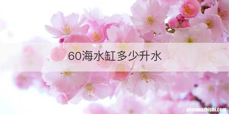60海水缸多少升水