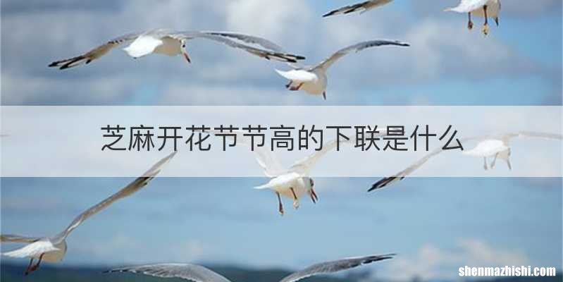 芝麻开花节节高的下联是什么