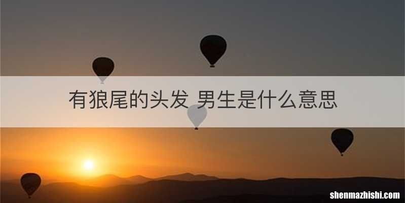 有狼尾的头发 男生是什么意思