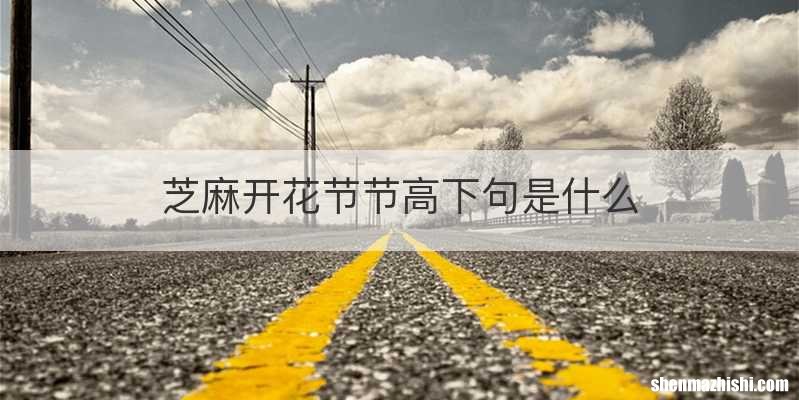 芝麻开花节节高下句是什么