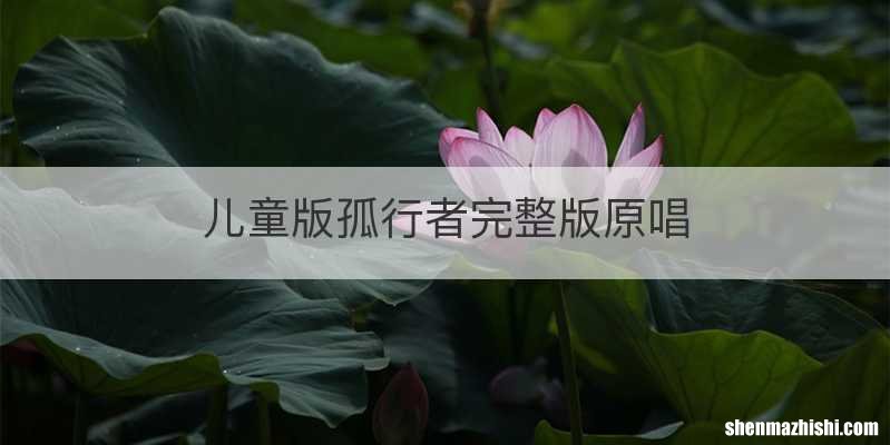 儿童版孤行者完整版原唱