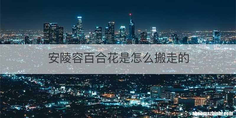 安陵容百合花是怎么搬走的