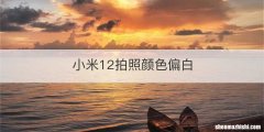 小米12拍照颜色偏白