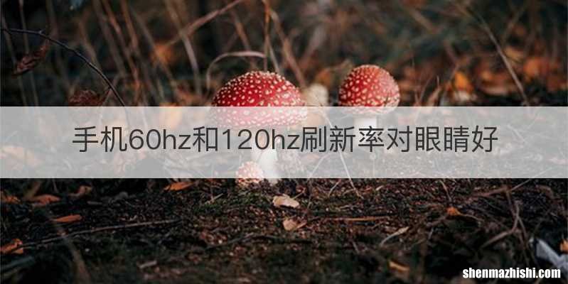 手机60hz和120hz刷新率对眼睛好