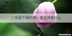 二年级下册的第一首古诗是什么