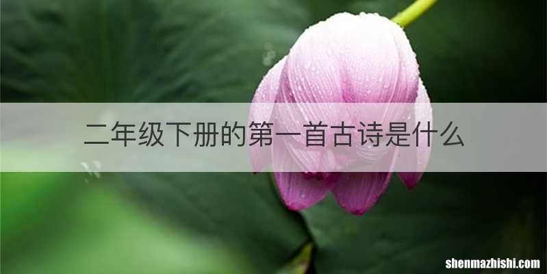 二年级下册的第一首古诗是什么