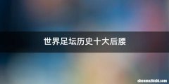 世界足坛历史十大后腰