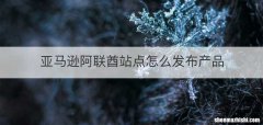亚马逊阿联酋站点怎么发布产品