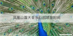 凤凰山露天音乐公园喷泉时间
