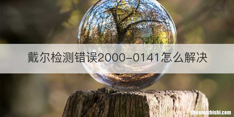 戴尔检测错误2000-0141怎么解决