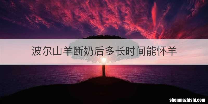 波尔山羊断奶后多长时间能怀羊