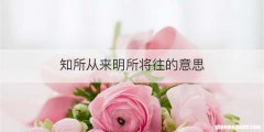 知所从来明所将往的意思