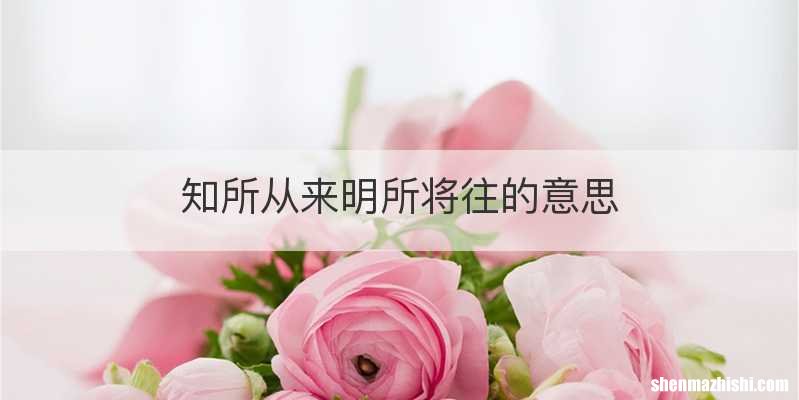 知所从来明所将往的意思